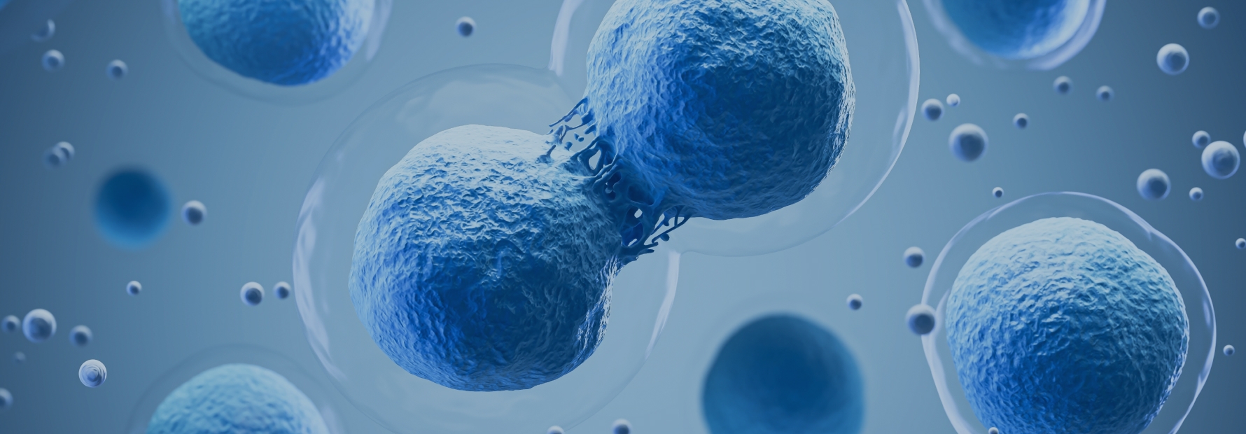Providing Comprehensive Medical Solutions